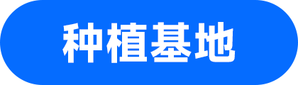 供应链优势